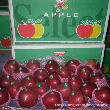 2014 Crop Hot Selling Huaniu Apple